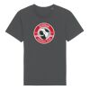 Rocker the essential unisex t-shirt (STTU758) Thumbnail